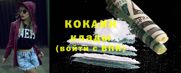 шишки Дмитров