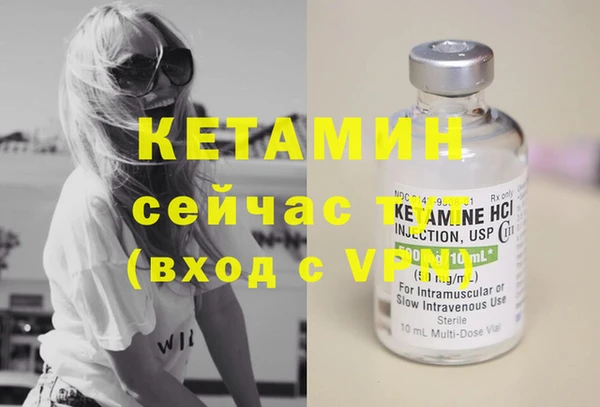 шишки Дмитров