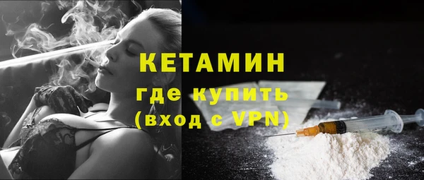 шишки Дмитров