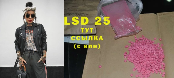 прущий лед Дмитриев