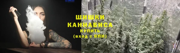 ПСИЛОЦИБИНОВЫЕ ГРИБЫ Дмитровск