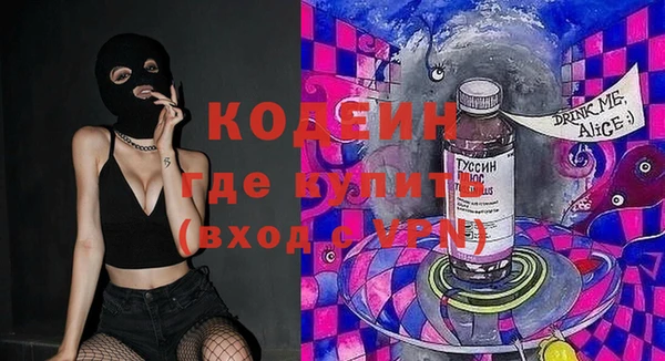 шишки Дмитров