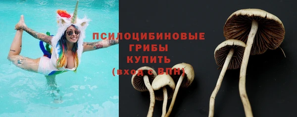ПСИЛОЦИБИНОВЫЕ ГРИБЫ Дмитровск