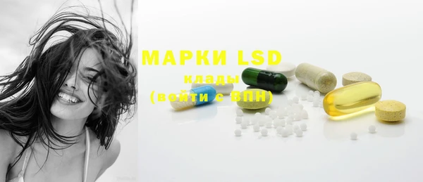 PSILOCYBIN Ельня