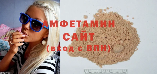 PSILOCYBIN Ельня