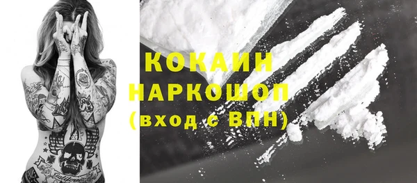 шишки Дмитров
