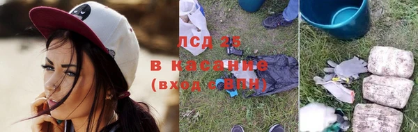 PSILOCYBIN Ельня