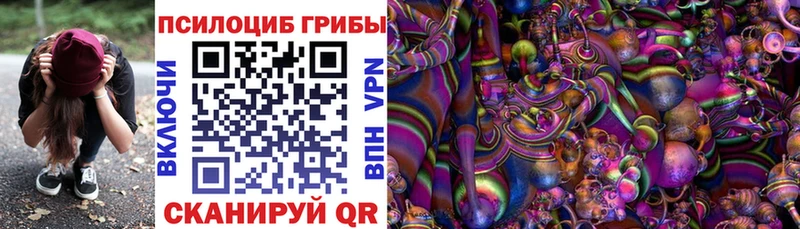 Купить где  Среднеуральск  Галлюциногенные грибы Psilocybe 